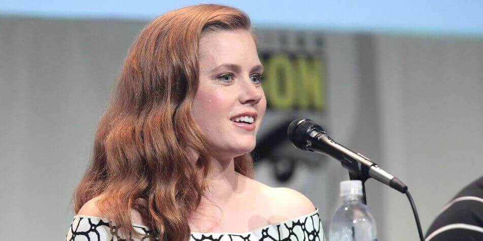 Read more about the article Amy Adams Age, Height, Husband, Children and Net Worth